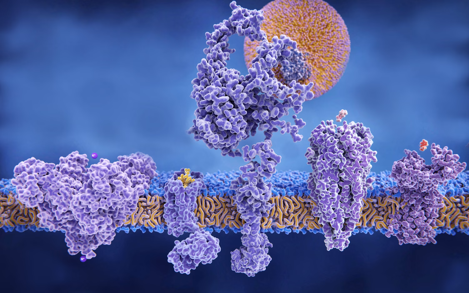 Protein Optimisation Services